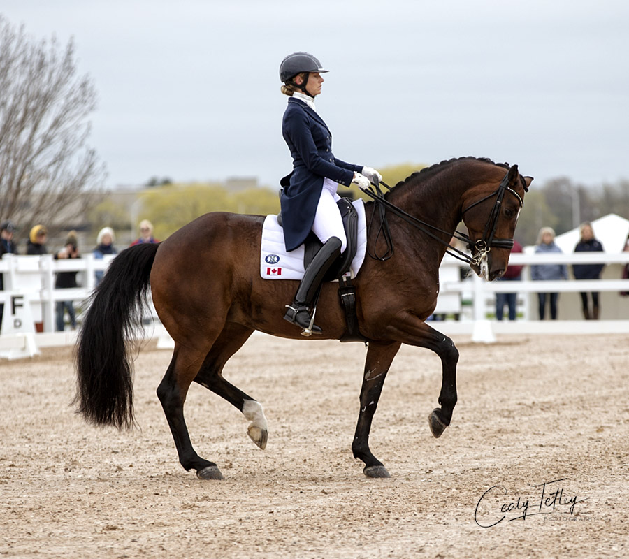 Fancy That Shows Off Fancy Moves for First Grand Prix Win with Tina Irwin